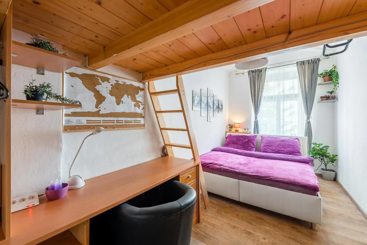 Zizkov Apartments Praha