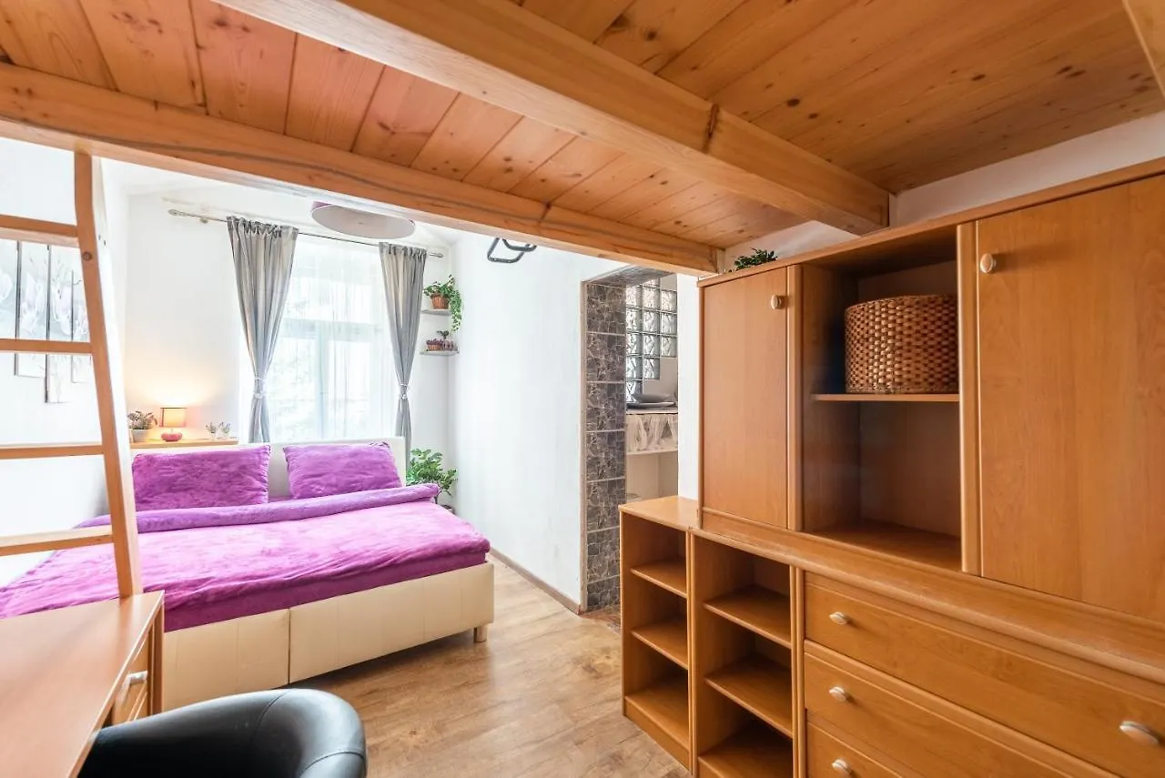 Zizkov Apartments Praha