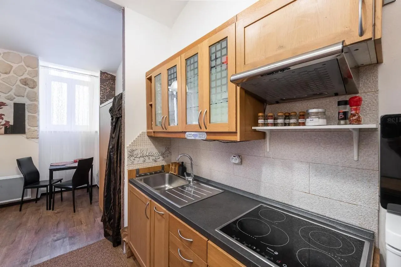 Zizkov Apartments Praha