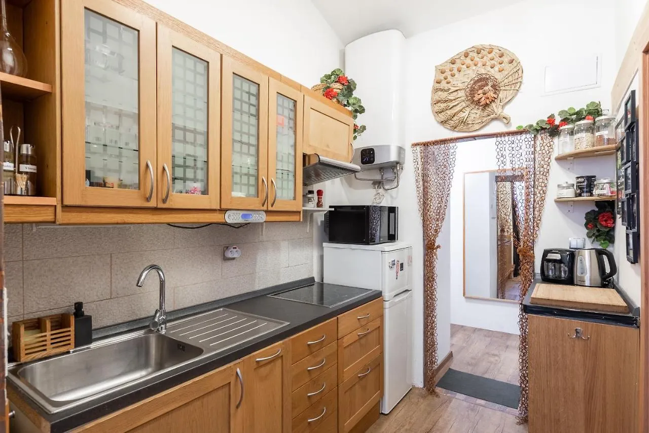 Zizkov Apartments Praha 0*,  Česká republika
