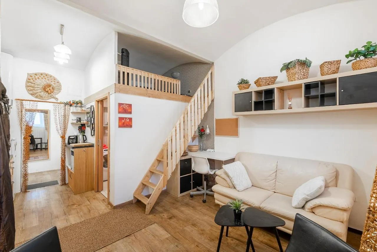 Zizkov Apartments Praha Česká republika